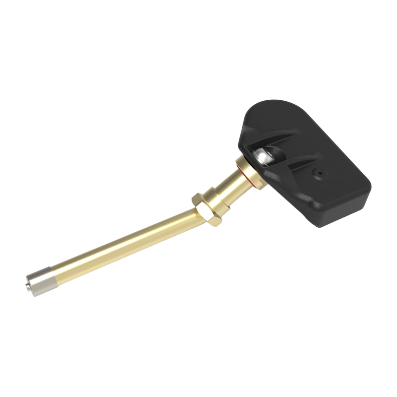 Commercial vehicle internal TPMS sensor T09